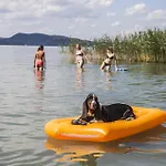 Haziallatbarat Mandula Haz Koezpontjanal *