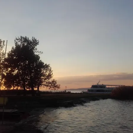 Haziallatbarat Mandula Haz Koezpontjanal Fonyód