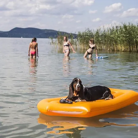 Háziállatbarát Mandula Ház Központjánál *