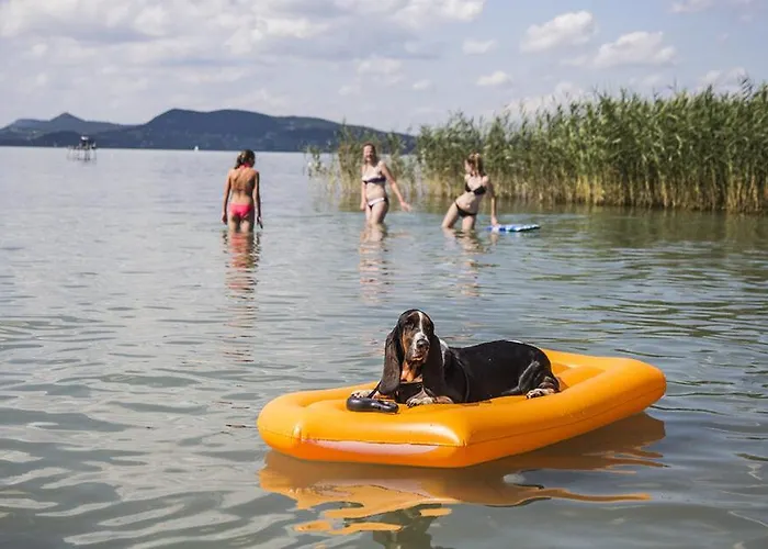 Haziallatbarat Mandula Haz Koezpontjanal *